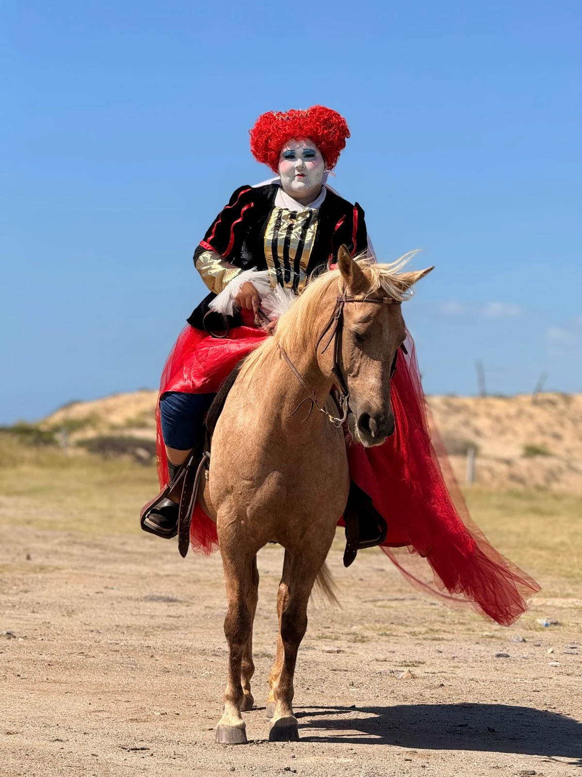 Luciana Talamantes, Reina Roja